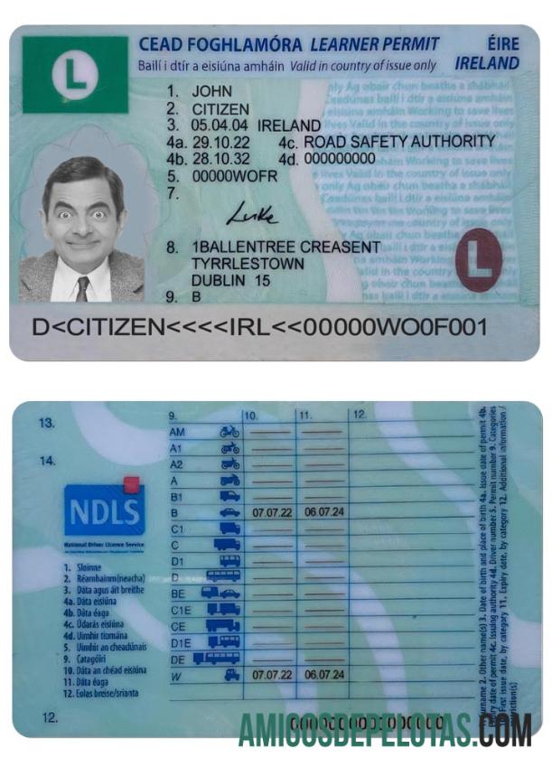 Carta de condução da Irlanda (permissão de estudante) 2022 presente exemplo